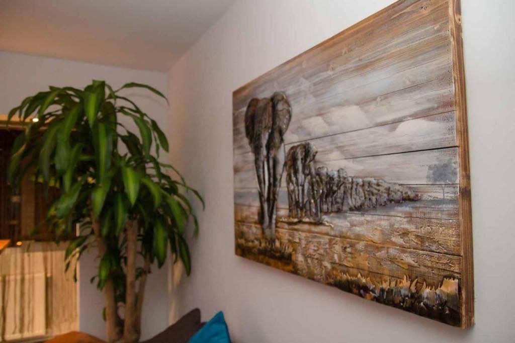 Colonial Touch Apartament Braszów Zewnętrze zdjęcie